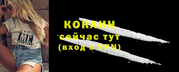 ALPHA PVP Богородск