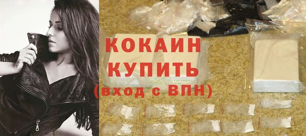 молекула духа Бородино