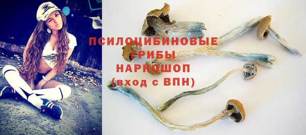 круглые Богданович