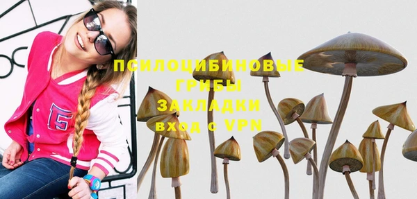 ALPHA PVP Богородск