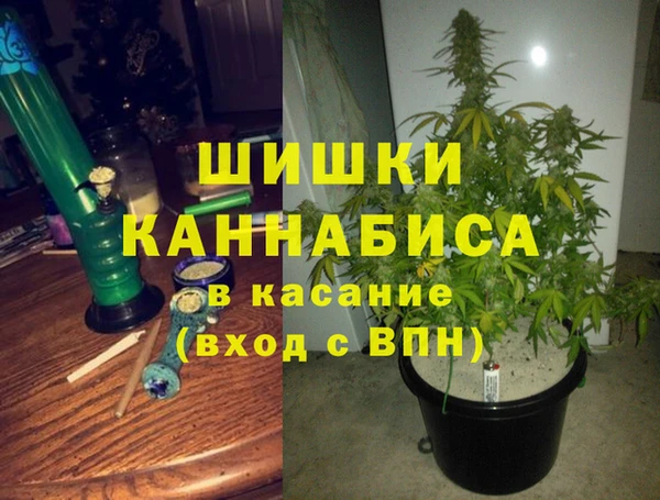 бутират Богородицк